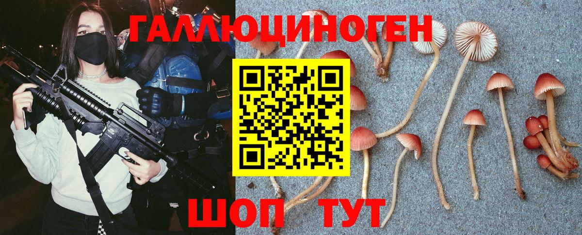 Галлюциногенные грибы MAGIC MUSHROOMS Красноармейск